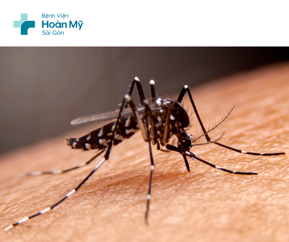 Cảnh báo bệnh sốt xuất huyết Dengue