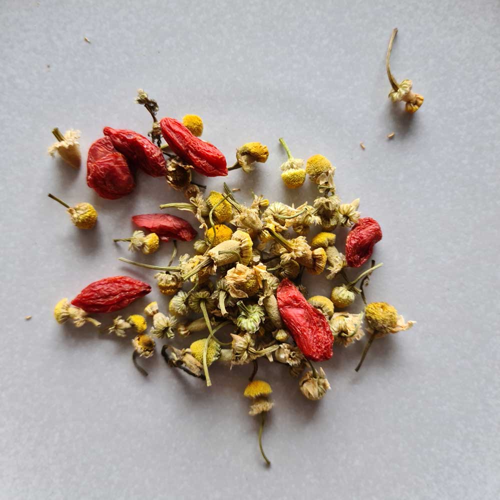 Cách pha trà hoa cúc kỷ tử 