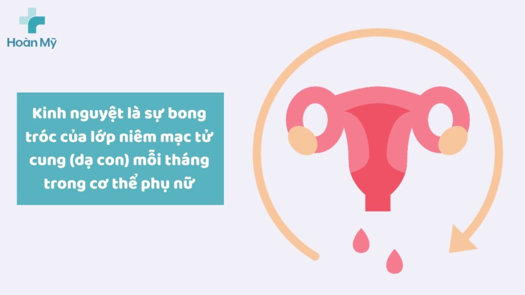 Chu kỳ kinh nguyệt là gì? Kéo dài bao lâu? Cách tính chu kỳ kinh nguyệt