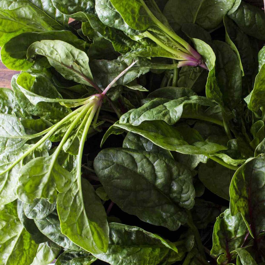 Rau chân vịt giúp giảm lượng đường trong máu đặc biệt hiệu quả đối với các bệnh nhân mắc bệnh tiểu đường