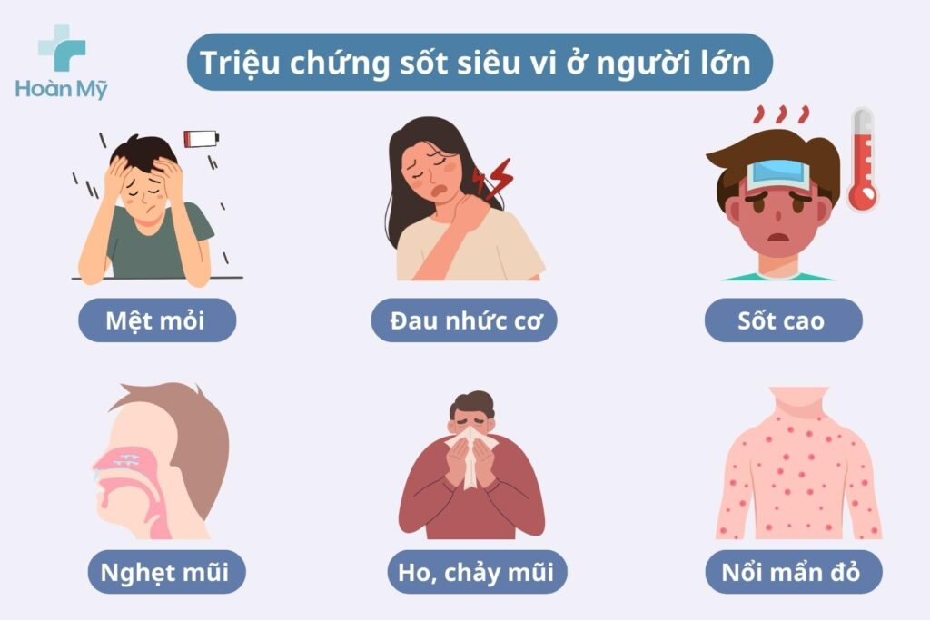 Dấu hiệu sốt siêu vi là gì? Sốt siêu vi lây qua đường nào?